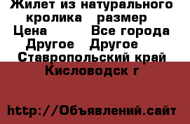 Жилет из натурального кролика,44размер › Цена ­ 500 - Все города Другое » Другое   . Ставропольский край,Кисловодск г.